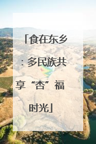 食在东乡：多民族共享“杏”福时光