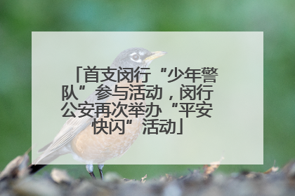 首支闵行“少年警队”参与活动，闵行公安再次举办“平安快闪”活动