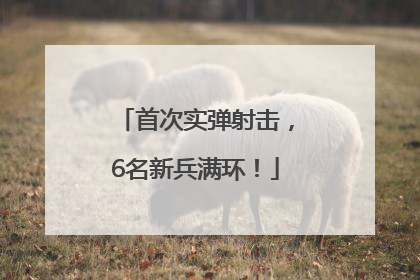 首次实弹射击，6名新兵满环！