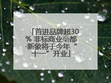 首进品牌超30% 非标商业亳都·新象将于今年“十一”开业