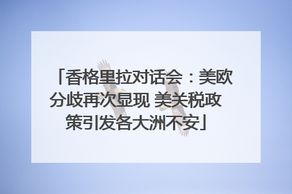 香格里拉对话会：美欧分歧再次显现 美关税政策引发各大洲不安