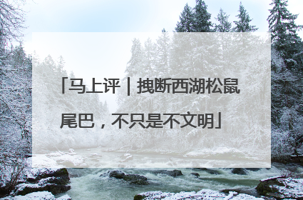 马上评｜拽断西湖松鼠尾巴，不只是不文明