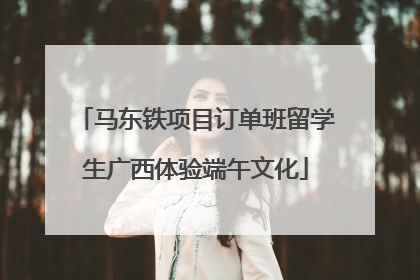 马东铁项目订单班留学生广西体验端午文化