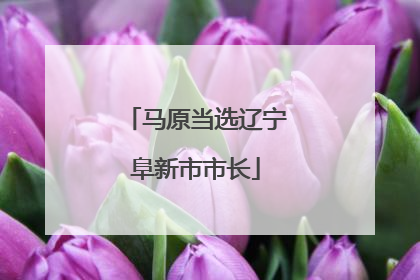 马原当选辽宁阜新市市长