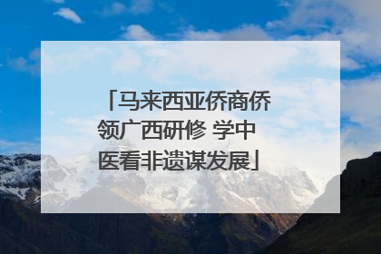马来西亚侨商侨领广西研修 学中医看非遗谋发展