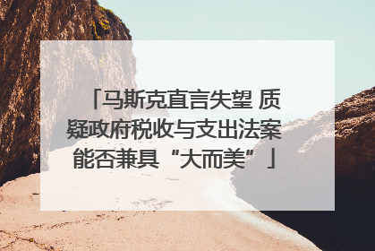 马斯克直言失望 质疑政府税收与支出法案能否兼具“大而美”