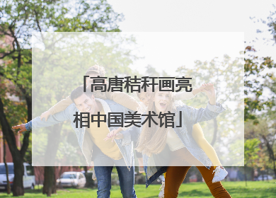 高唐秸秆画亮相中国美术馆