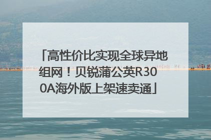 高性价比实现全球异地组网！贝锐蒲公英R300A海外版上架速卖通