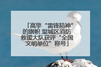 高擎“雷锋精神”的旗帜 望城区消防救援大队获评“全国文明单位”称号