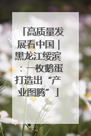 高质量发展看中国｜黑龙江绥滨：一枚鹅蛋打造出“产业图腾”