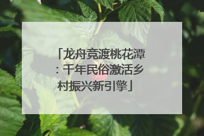 龙舟竞渡桃花潭：千年民俗激活乡村振兴新引擎