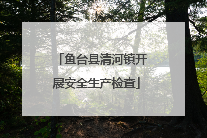鱼台县清河镇开展安全生产检查