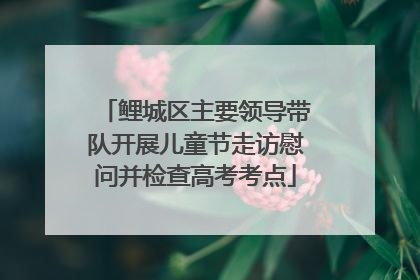 鲤城区主要领导带队开展儿童节走访慰问并检查高考考点