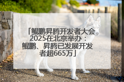 鲲鹏昇腾开发者大会2025在北京举办：鲲鹏、昇腾已发展开发者超665万