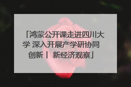 鸿蒙公开课走进四川大学 深入开展产学研协同创新丨 新经济观察