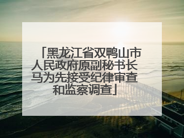 黑龙江省双鸭山市人民政府原副秘书长马为先接受纪律审查和监察调查