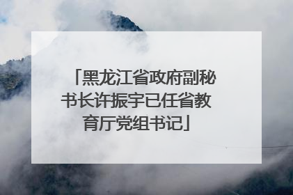 黑龙江省政府副秘书长许振宇已任省教育厅党组书记