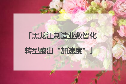 黑龙江制造业数智化转型跑出“加速度”