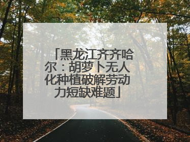 黑龙江齐齐哈尔：胡萝卜无人化种植破解劳动力短缺难题