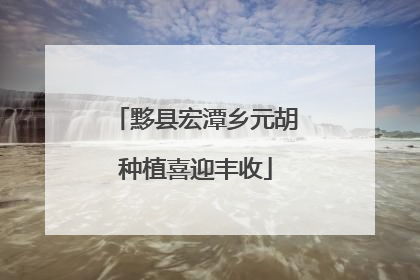 黟县宏潭乡元胡种植喜迎丰收