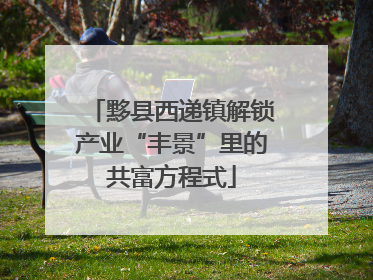 黟县西递镇解锁产业“丰景”里的共富方程式