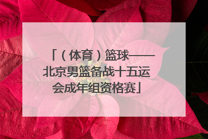 （体育）篮球——北京男篮备战十五运会成年组资格赛