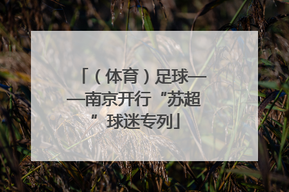 （体育）足球——南京开行“苏超”球迷专列
