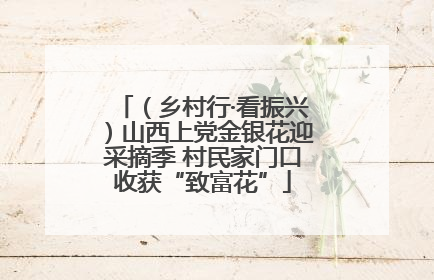 （乡村行·看振兴）山西上党金银花迎采摘季 村民家门口收获“致富花”