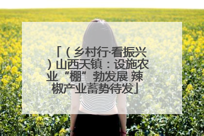 （乡村行·看振兴）山西天镇：设施农业“棚”勃发展 辣椒产业蓄势待发