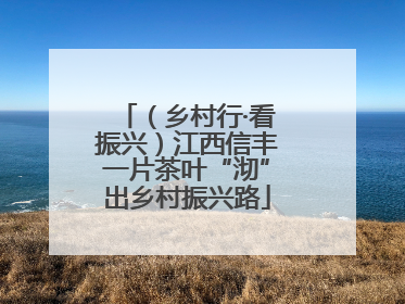 （乡村行·看振兴）江西信丰一片茶叶“沏”出乡村振兴路