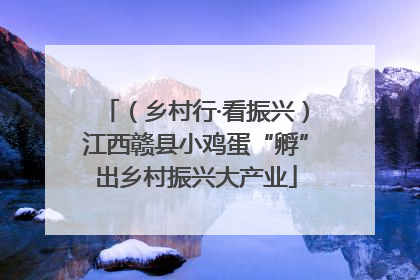 （乡村行·看振兴）江西赣县小鸡蛋“孵”出乡村振兴大产业