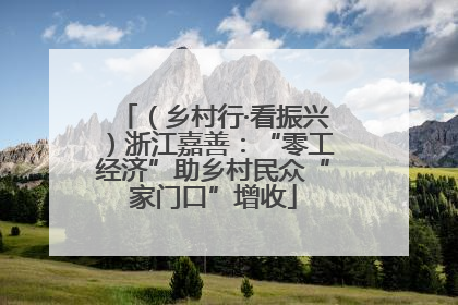 （乡村行·看振兴）浙江嘉善：“零工经济”助乡村民众“家门口”增收