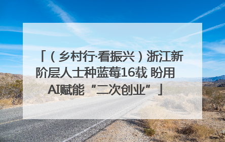 （乡村行·看振兴）浙江新阶层人士种蓝莓16载 盼用AI赋能“二次创业”