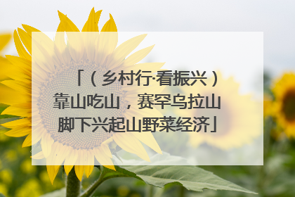 （乡村行·看振兴）靠山吃山，赛罕乌拉山脚下兴起山野菜经济