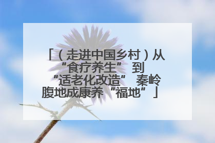 （走进中国乡村）从 “食疗养生” 到 “适老化改造” 秦岭腹地成康养“福地”