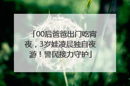 00后爸爸出门吃宵夜，3岁娃凌晨独自夜游！警民接力守护