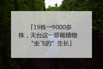 19株→9000多株，天台这一珍稀植物“坐飞的”生长