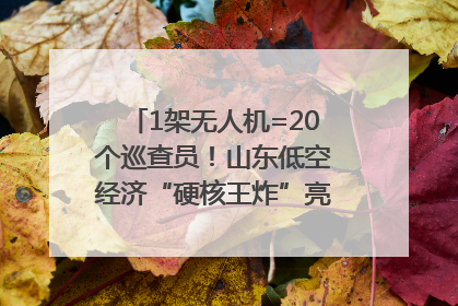 1架无人机=20个巡查员！山东低空经济“硬核王炸”亮相青岛，下一个万亿赛道藏在这里