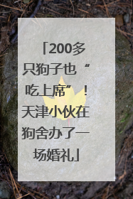 200多只狗子也“吃上席”！天津小伙在狗舍办了一场婚礼