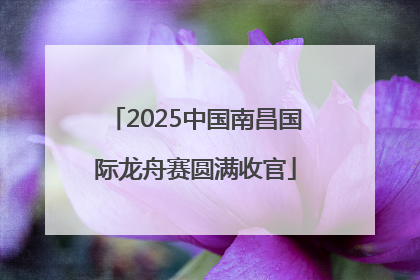 2025中国南昌国际龙舟赛圆满收官