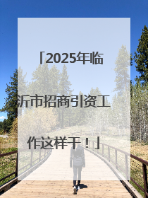 2025年临沂市招商引资工作这样干！