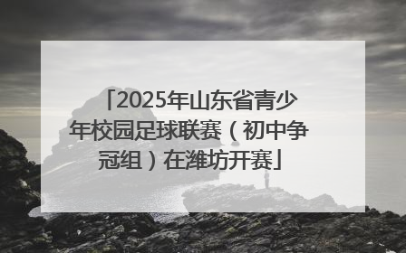2025年山东省青少年校园足球联赛（初中争冠组）在潍坊开赛