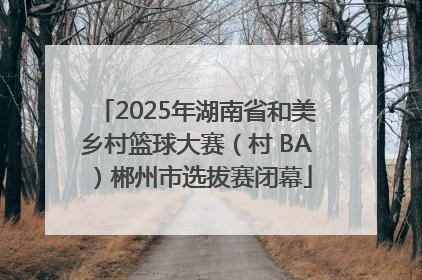 2025年湖南省和美乡村篮球大赛（村 BA）郴州市选拔赛闭幕