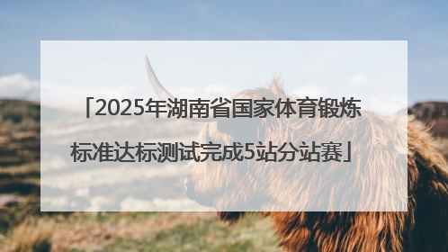 2025年湖南省国家体育锻炼标准达标测试完成5站分站赛
