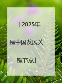 2025年是中国发展关键节点