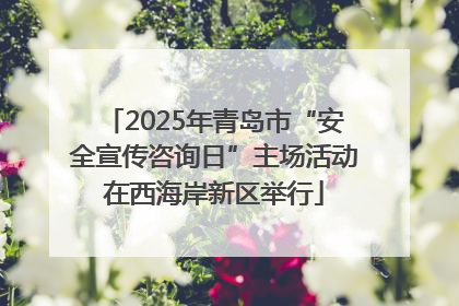2025年青岛市“安全宣传咨询日”主场活动在西海岸新区举行
