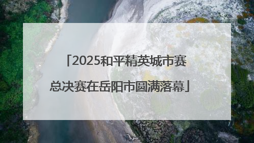 2025和平精英城市赛总决赛在岳阳市圆满落幕