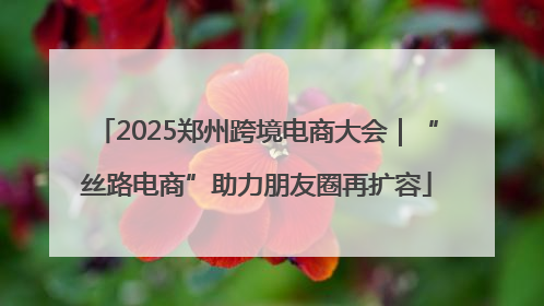2025郑州跨境电商大会｜“丝路电商”助力朋友圈再扩容