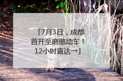 7月3日，成都首开至磨憨动车！12小时直达→