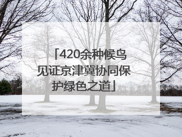 420余种候鸟见证京津冀协同保护绿色之道